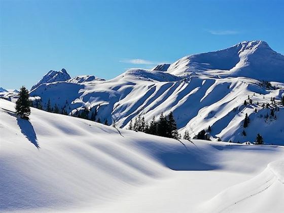 Winter-Impression