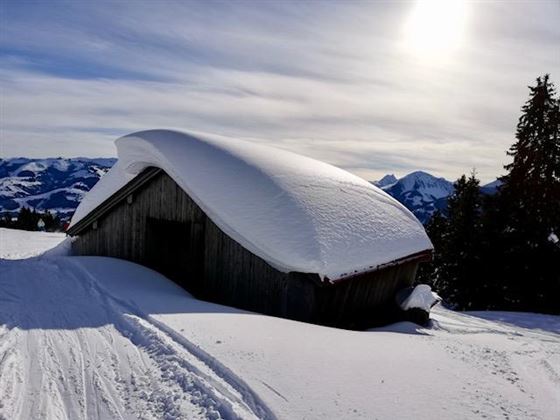 Winter-Impression