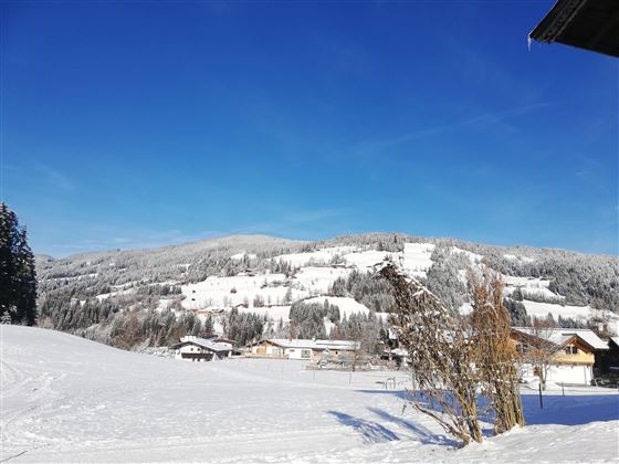Winter Panorama 2
