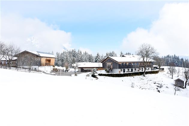 A snowy landscape with several wooden houses. The sky is bright blue and the trees are covered with snow.