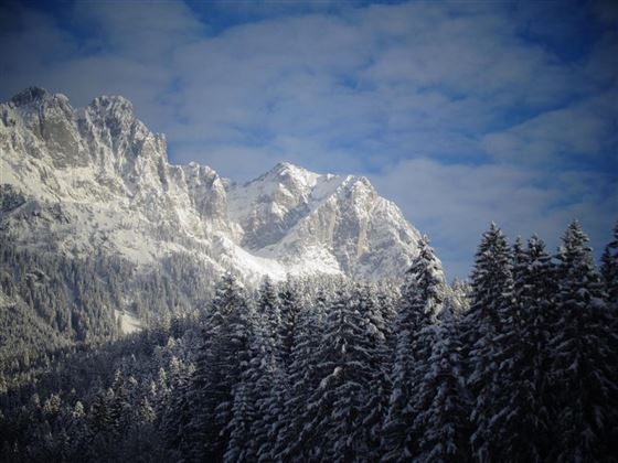 A snowy mountain landscape with high, snow-covered peaks. Dense, green coniferous trees line the foreground.