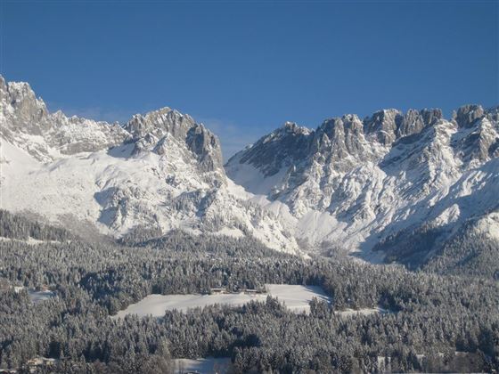 Snow-covered mountains under a clear blue sky. Below, a forest with freshly fallen snow.