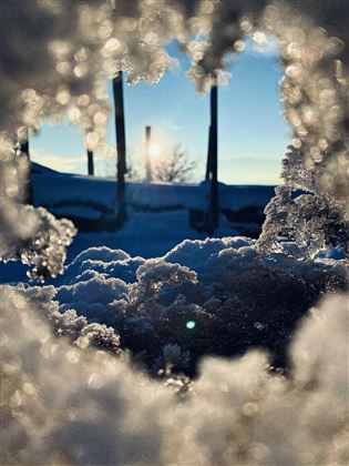 Winter1