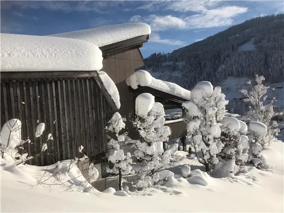 Winter2019