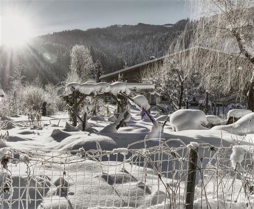 Eine winterliche Landschaft mit schneebedeckten Bäumen und einem ruhigen Garten. Im Hintergrund sind Berge und die Sonne scheint durch die Kälte.