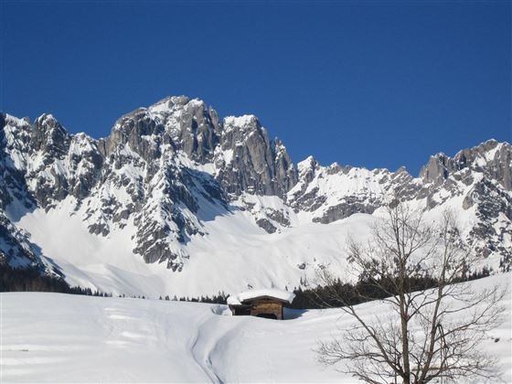Winterimpression