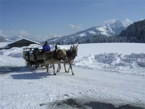 Winterkutschenfahrt