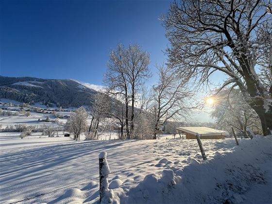 Winterlandschaft