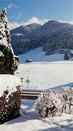 Eine verschneite Landschaft mit schneebedeckten Bäumen und Bergen im Hintergrund. Der Himmel ist klar und blau, was die winterliche Szenerie schön hervorhebt.