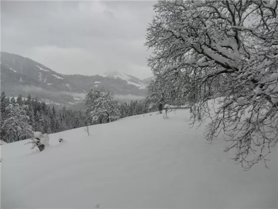 Winterlandschaft vor der Haustür