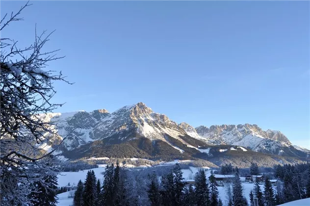 Winterpanorama