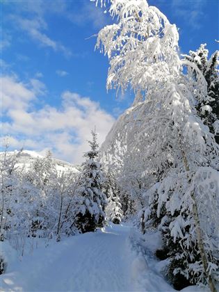 Winterromantik