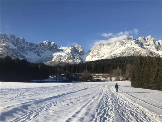 Winterspaziergang