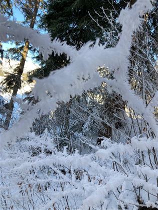 Winterwandern