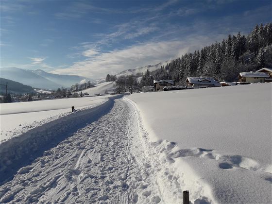 Winterwanderweg vor der Haustür