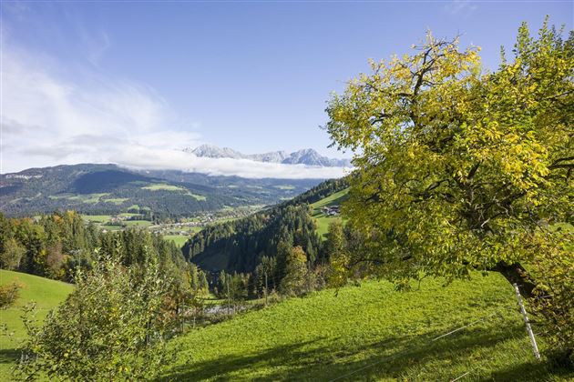 Wohnung 2 Ausblick