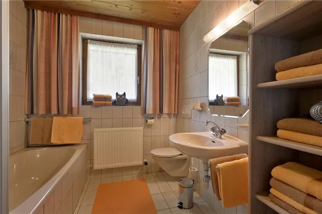 Wohnung Erdgeschoss Badezimmer