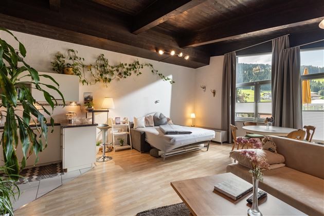 Wohnzimmer Couch