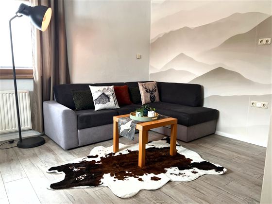 Wohnzimmer Schlafcouch