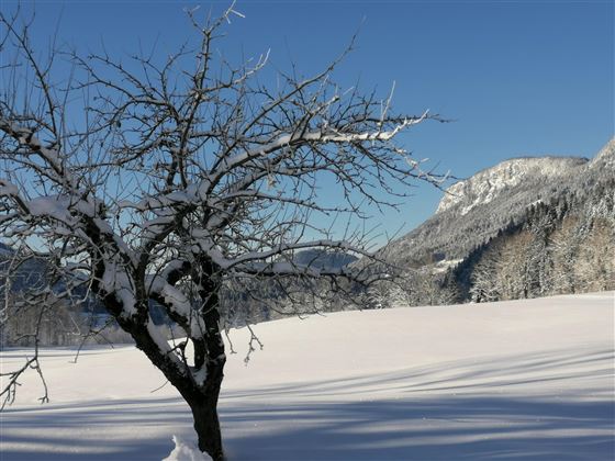 wunderbarer Ausblick