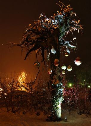 Ein geschmückter Baum in einer winterlichen Nacht. Schnee bedeckt die Äste, und bunte Weihnachtskugeln hängen daran.