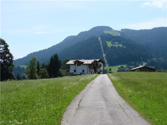 Driveway to Haus Geigern